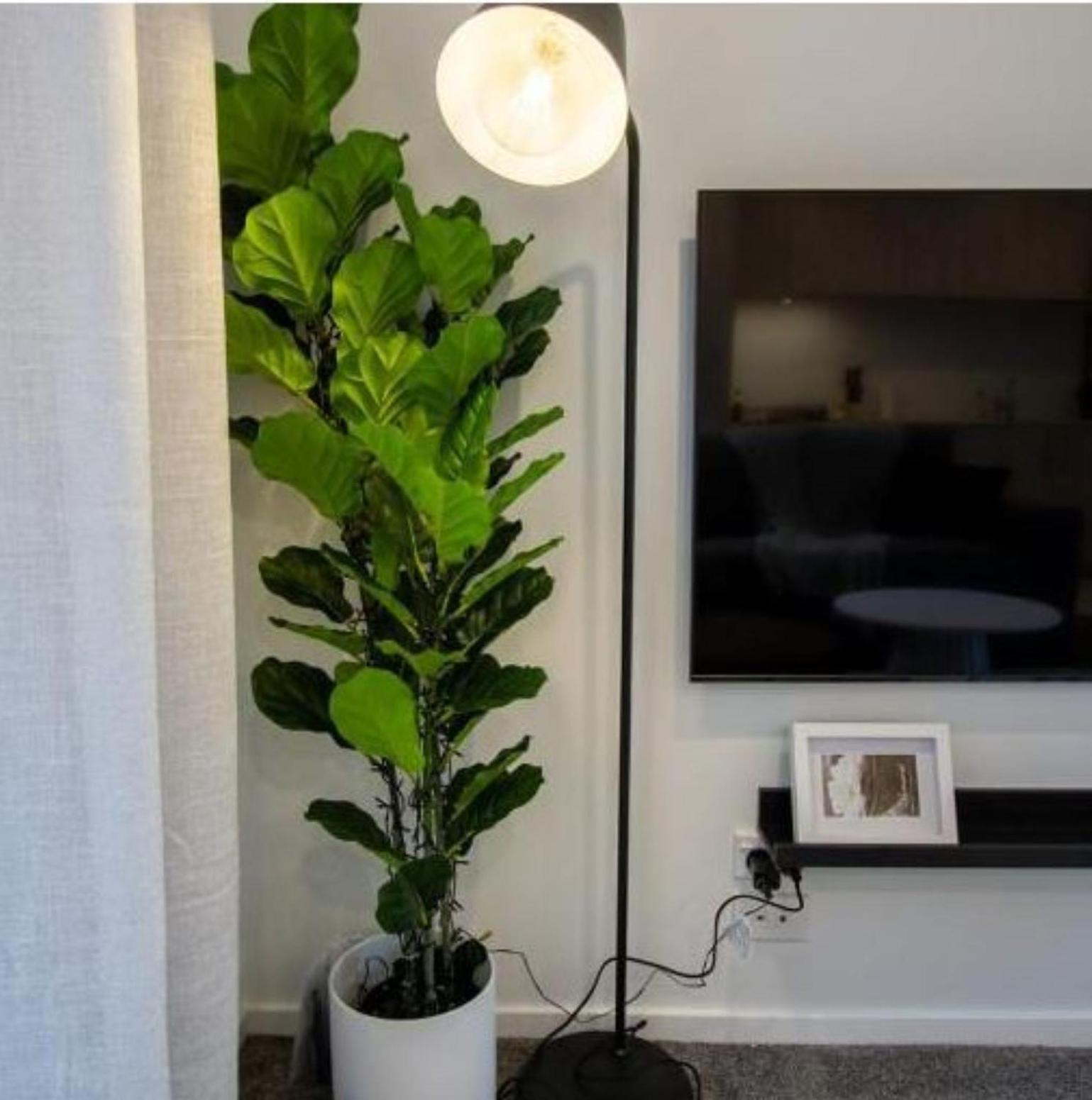 Appartamento A Touch Of Luxury In Chch Cbd Christchurch Esterno foto